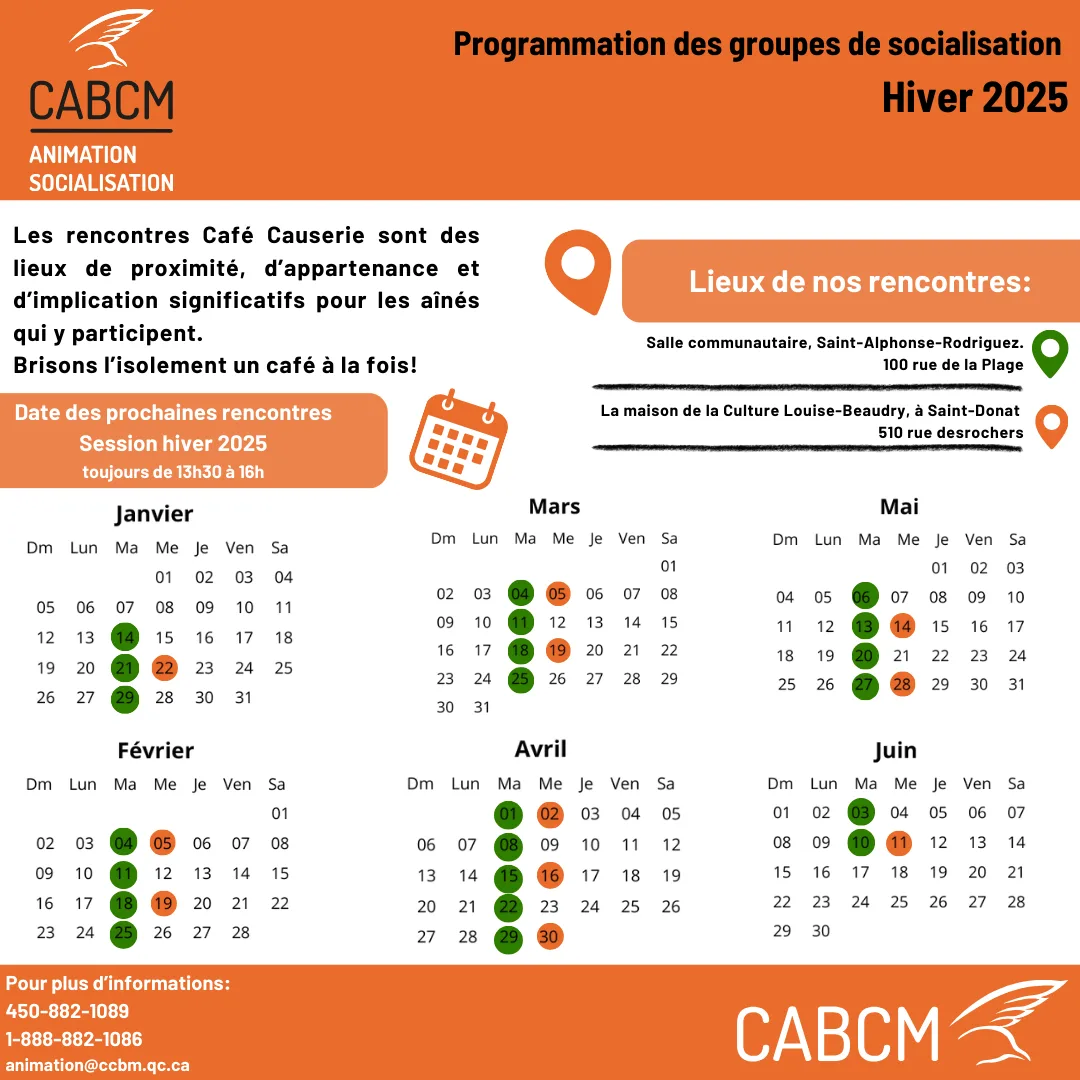 Programmation animation socialisation